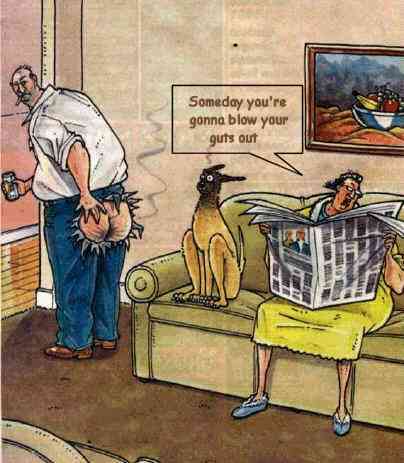 funny farts. funny fart. reply